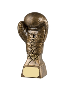 Gold Boxing Glove Award