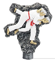 judo