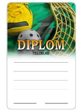 Diplom Innebandy