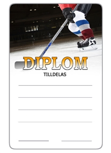 Diplom Ishockey