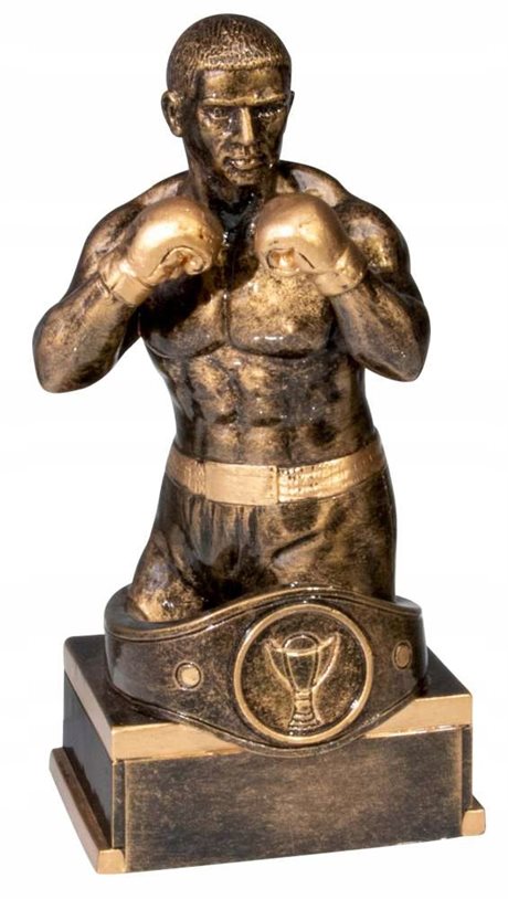 Boxning Champion 180mm