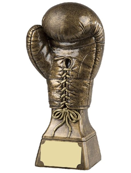 Boxinghand.jpg