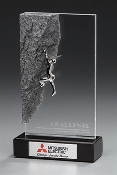 Challenge Award