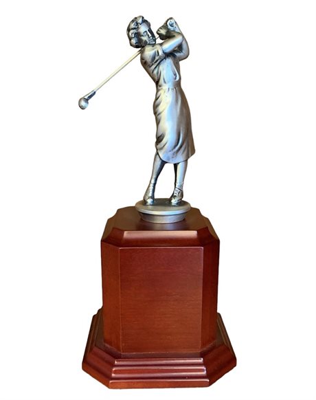 Golfare Swing Dam 255mm