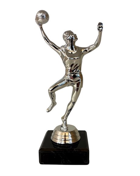 Ninabasketsilver.jpg