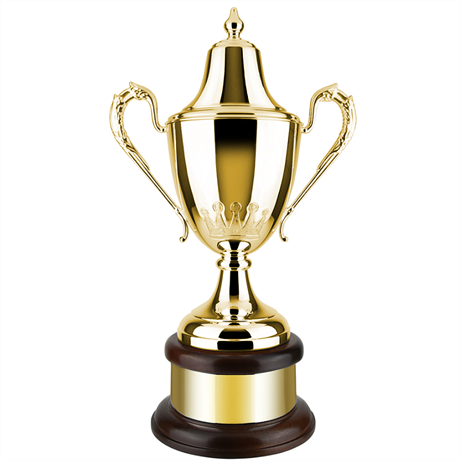 Winners Crown Trophy Gold 410mm