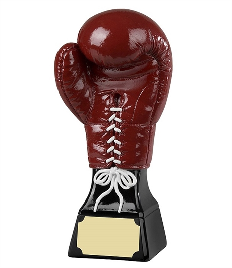 Hand Painted Red Boxing Glove Award 225mm