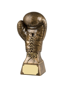 Gold Boxing Glove Award 225mm