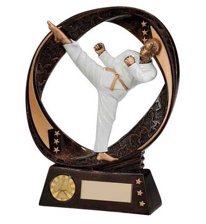 Typhoon Martial Arts Award