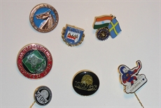 Pins_338