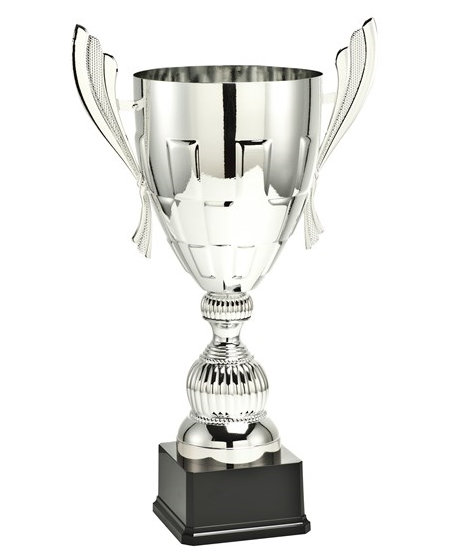 Pokal Pelé silver