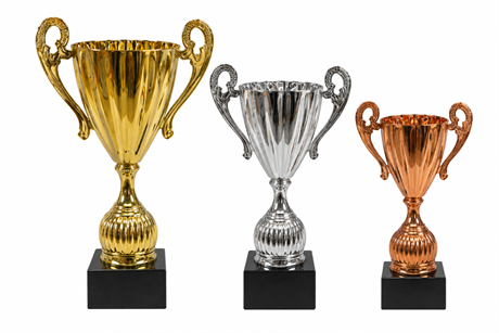 Pokal-g-s-b.png
