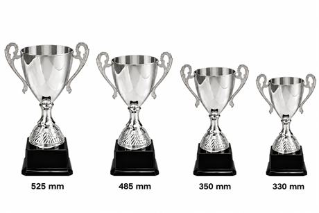 Pokal Odd Silver 4 storlekar