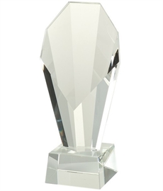 Savannah Award 230mm