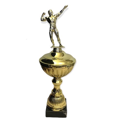 Bodybuildingpokal Herr 3 storlekar