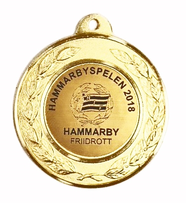 Medalj PHM2004 70 mm