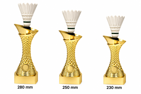 multisport-badminton.png