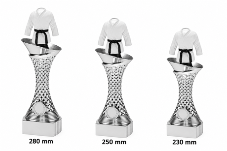 multisport-silver-kampsport.png