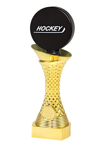 Multisport Ishockeypuck