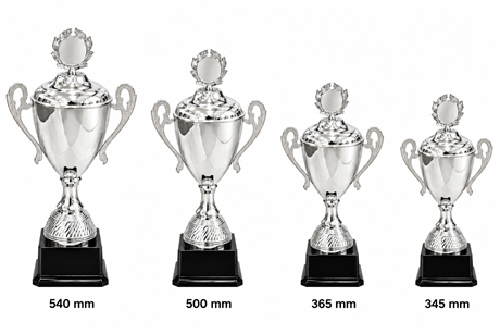 pokal-odd-silver-4-storlekar.png