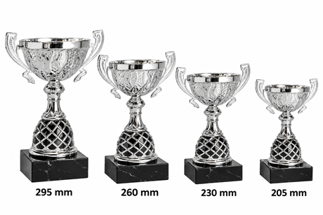 pokal-ralle-4-storlekar.png