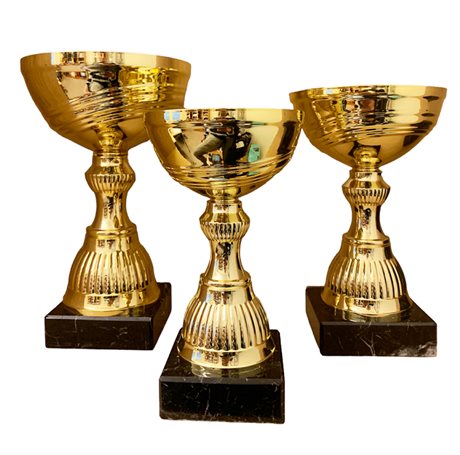 3st Pokal Lisa inklusive gravyr.