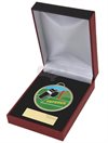 Domare medalj i ask