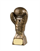 Gold Boxing Glove Award