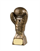 Gold Boxing Glove Award 225mm