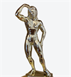 Bodybuildingpokal dam guld 510mm