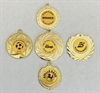 Medalj PBD8D 70 mm